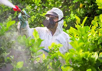 Promoting Safe Pesticide Use